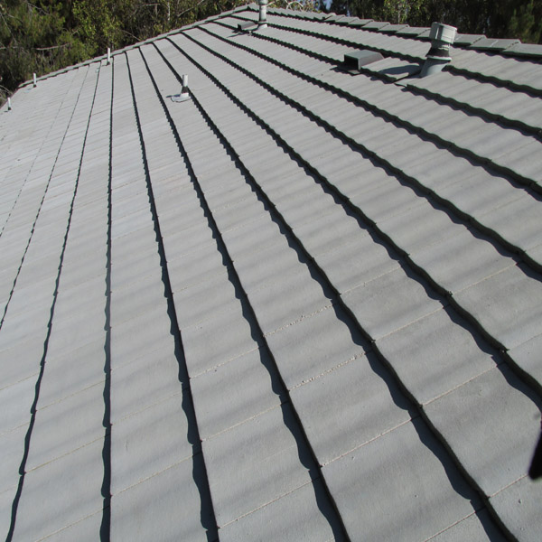 Roof Cleaning Slate Tile